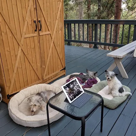 Breckenridge Chalet Near Yosemite. Dog Friendly! Groveland Esterno foto