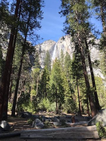 Breckenridge Near Yosemite. Dog Friendly! Holiday home