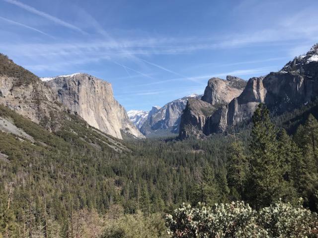 Breckenridge Near Yosemite. Dog Friendly! Holiday home *
